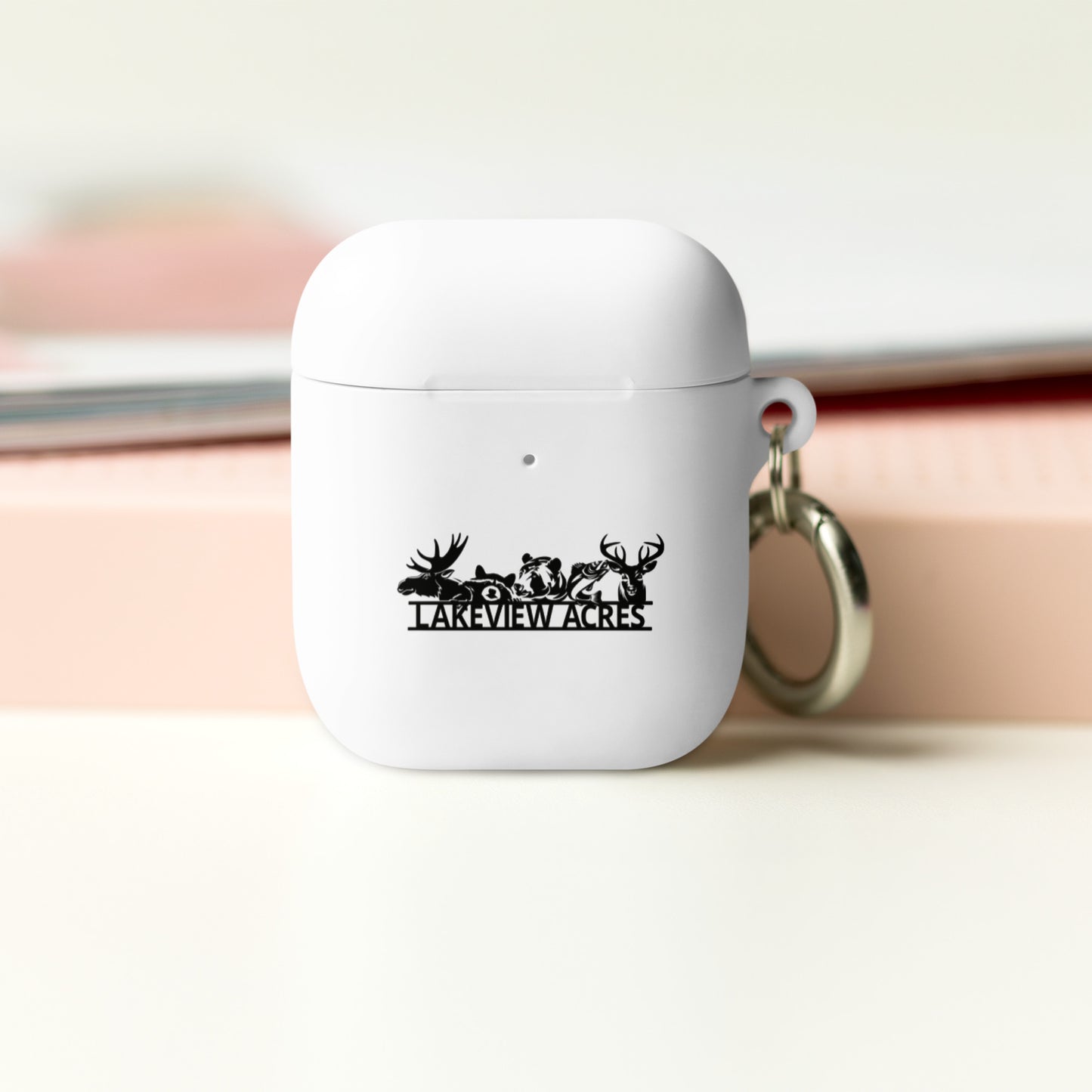 AirPods case