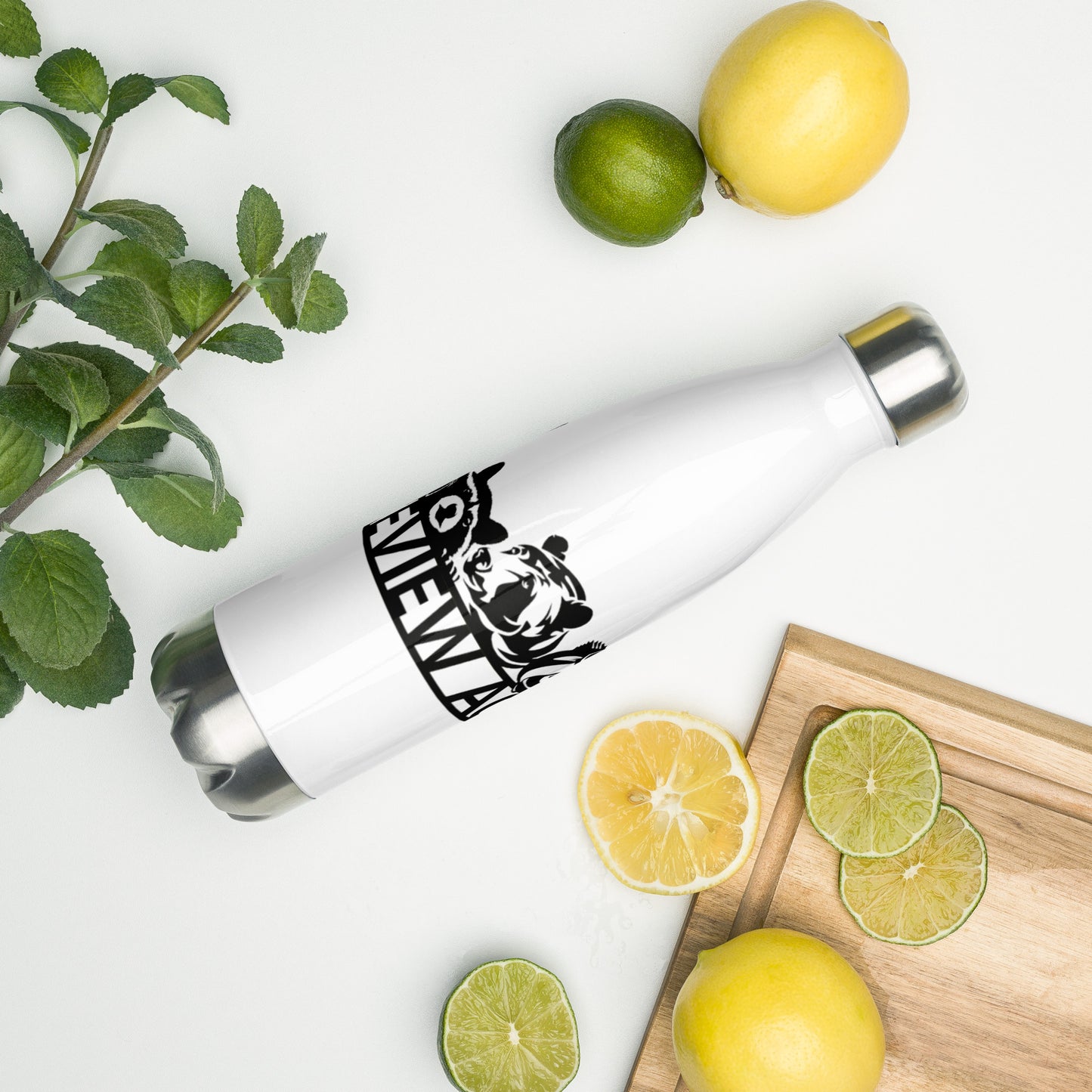 Stainless Steel Water Bottle
