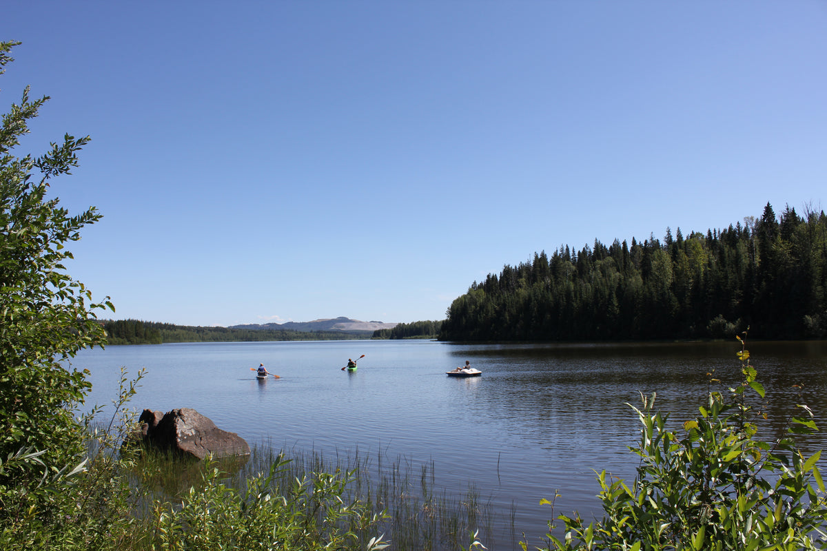 Moreheadcampground