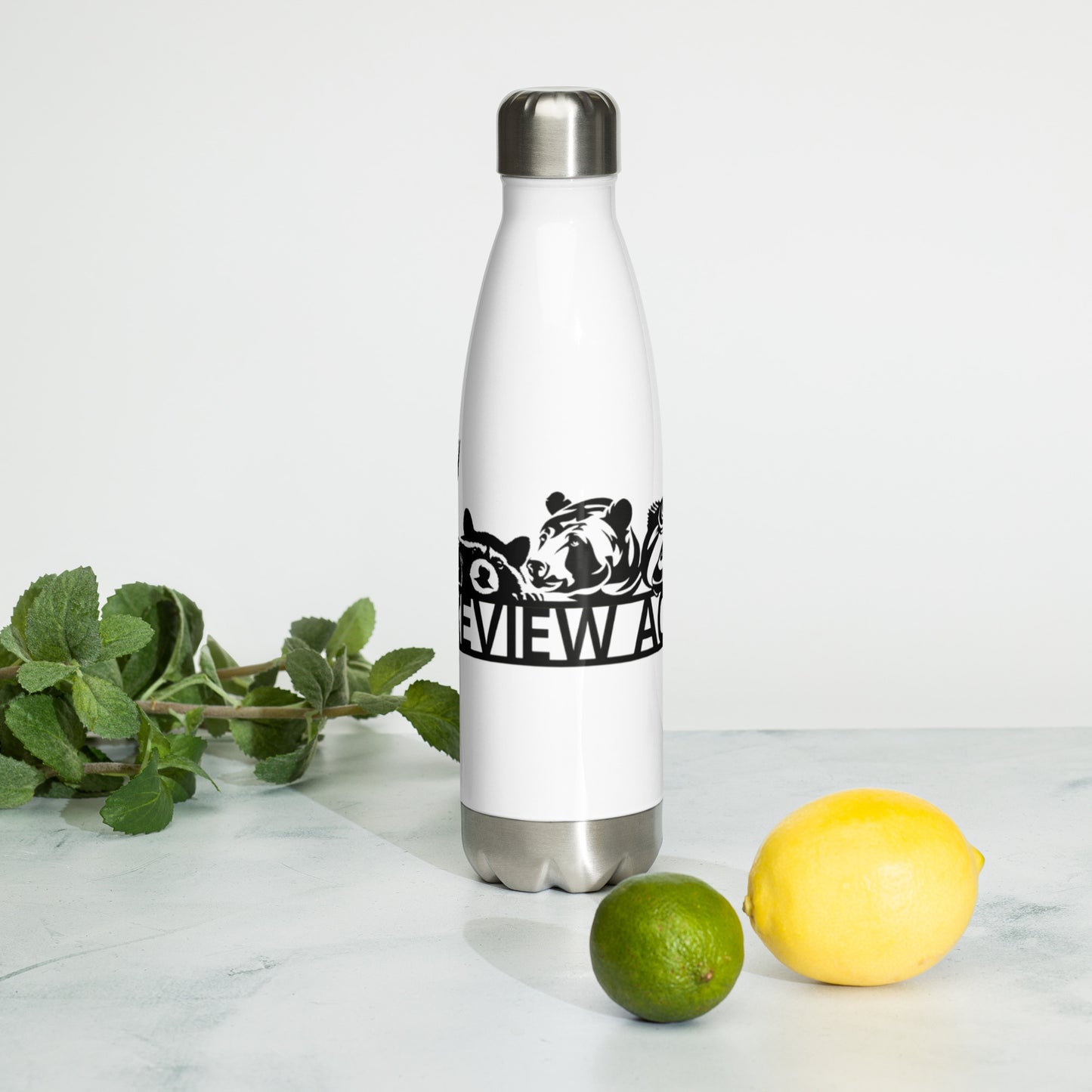 Stainless Steel Water Bottle